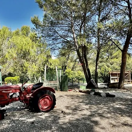 Maison De En Provence Avec Piscine, Golf A Proximite, Fibre Et Linge De Gamme - Fr-1-658-9 Holiday home Mallemort
